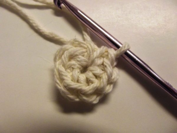 This image shows 8 sc worked into the 2nd chain from the hook.