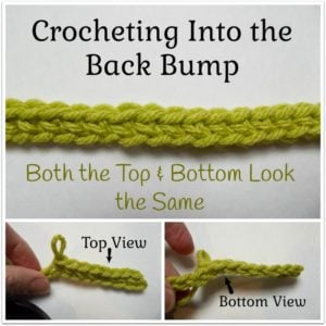 Crocheting Into the Back Bump ~ Crochet Tutorial
