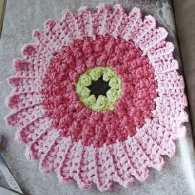 Cute Cosmos Flower Dishcloth pattern to decorate your kitchen.