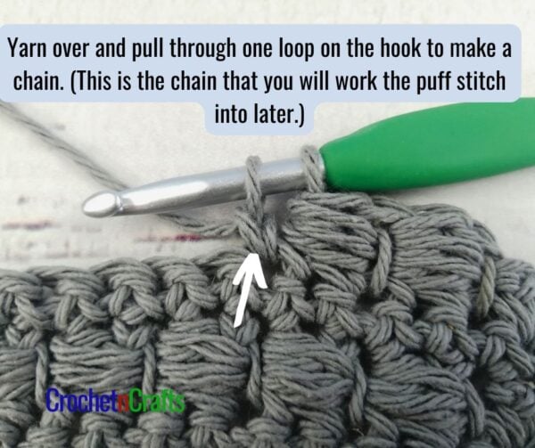 Yarn over and pull through one loop on the hook to make a chain. (This is the chain that you will work the puff stitch into later.) Again, you will have two loops on the hook.