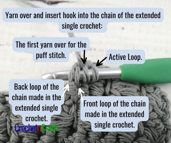 Yarn over and insert your hook into the chain of the extended single crochet. This image identifies all the loops involved at this step. It shows the first yarn over for the puff stitch and the side view of the chain as you insert your hook into the extended single crochet.