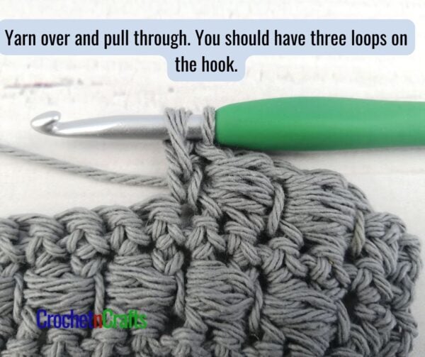 Yarn over and pull through. You should have three loops on the hook.
